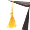 BAZEITFLOW 2-Pack Black Doctor Hats for Pets with Tassels view 3