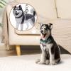 Cute Pet Keychain | Hair Storage Keychain for Cats and Dogs view 2
