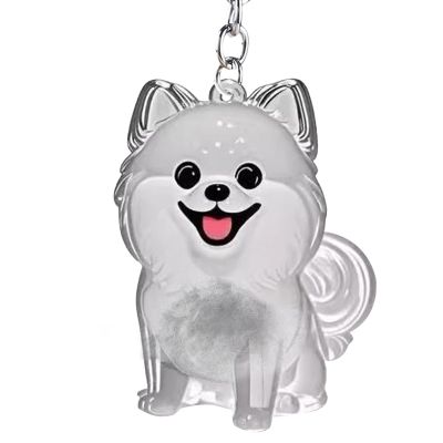 Pet Hair Storage Keychain