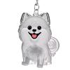 Pet Hair Storage Keychain view 1