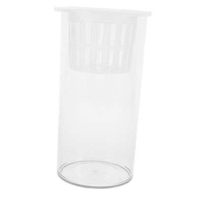 BUGUUYO Desktop Aquarium