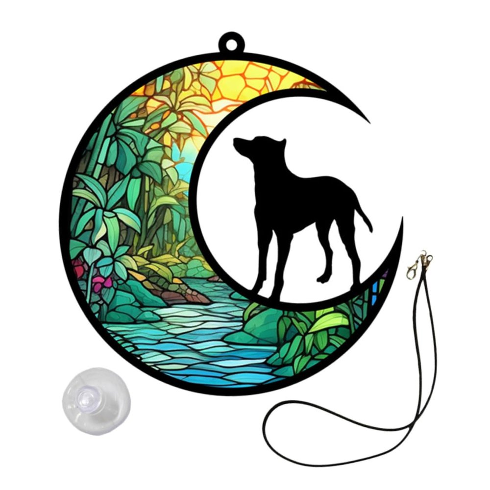 ifundom Acrylic Pet Moon Decoration