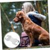 ifundom 6-Pack Stainless Steel Pet ID Tags view 4