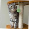 VICASKY Interactive Cat Toy, Space-Saving and Easy to Store, Sisal Ball Replacement for Indoor Cat Trees view 4
