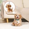 Dog Hair Keepsake Bottle Keychain view 2