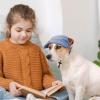 Adjustable Dog Baseball Cap view 3