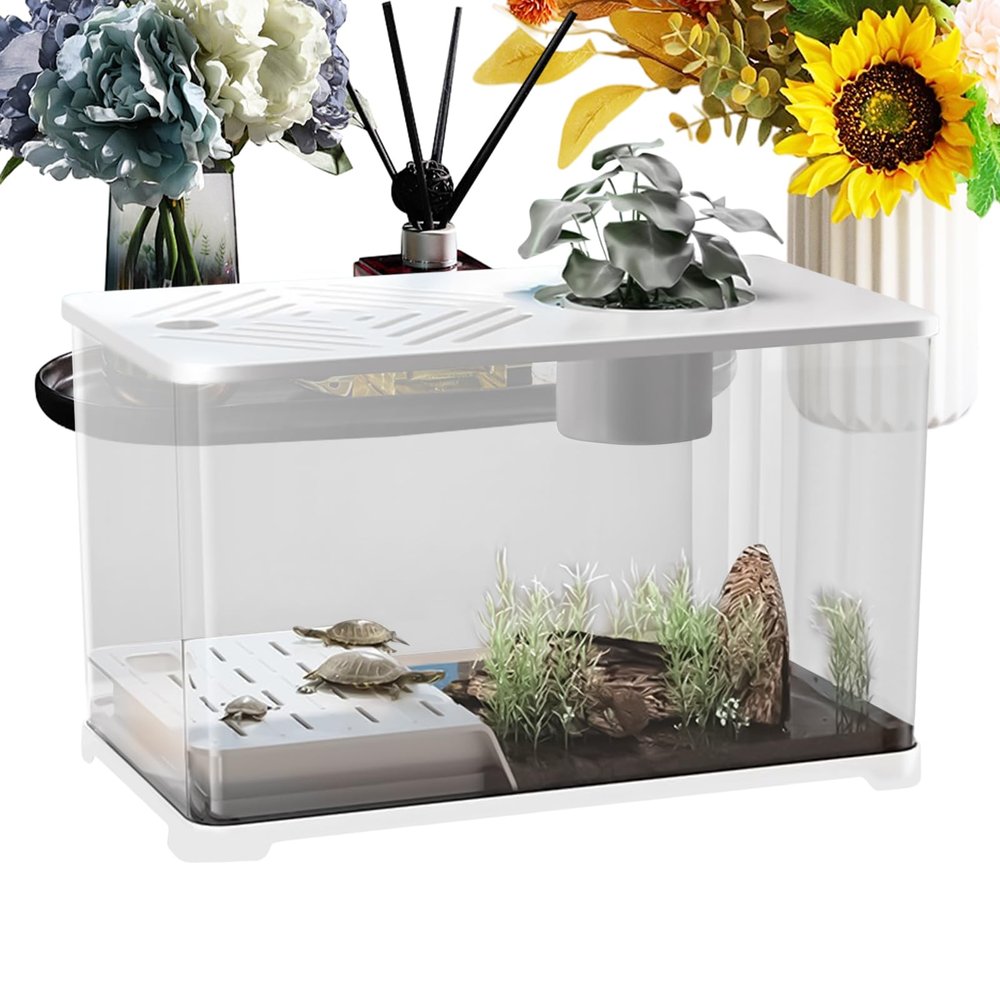Large Desktop Fish Tank Kit with Built-In Turtle Resting Area