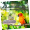 Abaodam Parrot Hammock, Winter Nest view 4