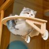 Cat Bed Suction Cups - High-Performance Window Suction Mounts for Cat Perches view 3