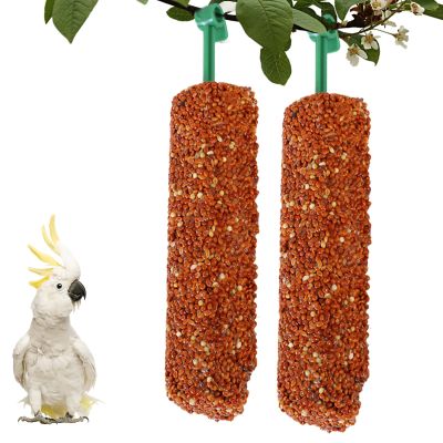 Bird Treats for Lovebirds and Budgies