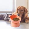 Elevated Cat Bowl view 3