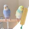 Bird Treats, 2-Pack, Bird Treat Toy view 3