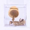 Natural Wood Spider Habitat view 4