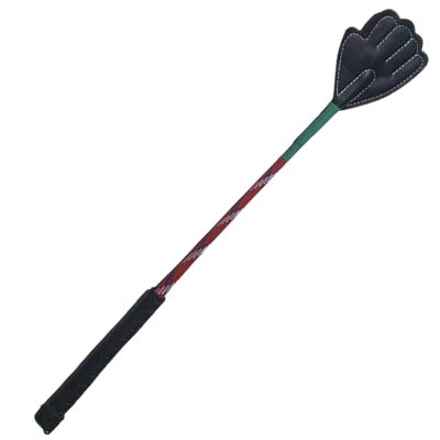 Dog Training Stick