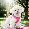 Reflective Adjustable Dog Harness view 3