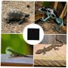 TOYANDONA Reptile Tank Mat view 3