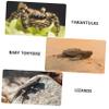VICASKY Transparent Reptile Breeding Container with Escape-Resistant Enclosure and Ventilation view 2