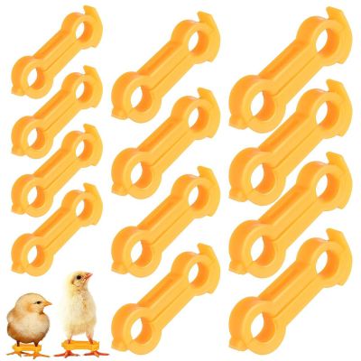 Chick Leg Spreader Support Bandage | 12 Pack Leg Correction Aid for Chicks