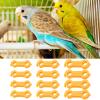 Chick Leg Spreader Support Bandage | 12 Pack Leg Correction Aid for Chicks view 2