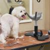 Height-Adjustable Grooming Chair with Standing Assistance view 3