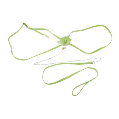 Adjustable Tortoise Harness with Leash, Green, Suede