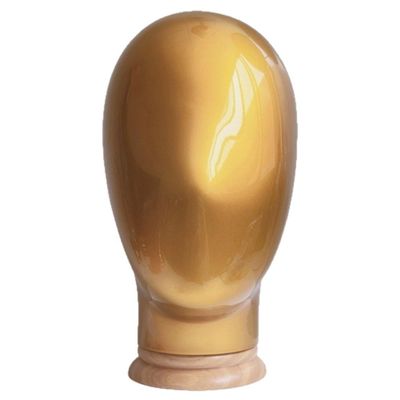 Dinntty Mannequin Head Model with Stand for Wigs, Hats, Masks, and Displays