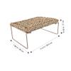 Straw and Iron Reptile Lounger for Geckos and Bearded Dragons view 2