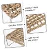 Straw and Iron Reptile Lounger for Geckos and Bearded Dragons view 4