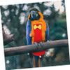 GANAZONO Parrot Diaper Suit view 4