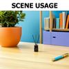 SOLUSTRE 100 ml Glass Aroma Diffuser Bottle with Rattan Reeds and Wooden Lid view 3