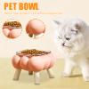 Elevated Cat Bowl view 2