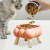 Elevated Cat Bowl view 3