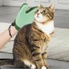 Pet Hair Remover Grooming Massage Gloves view 2