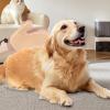 Grooming Glove for Dogs, Cats and Small Pets, 20 x 15 cm view 3