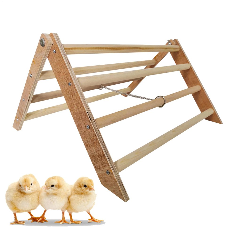 Chick Perch Wooden Interactive Bird Fitness Platform for Chickens, Macaws and Large Birds