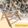 Chick Perch Wooden Interactive Bird Fitness Platform for Chickens, Macaws and Large Birds view 2