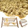 Chick Perch Wooden Interactive Bird Fitness Platform for Chickens, Macaws and Large Birds view 4