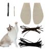 Cockroach Costume for Cats with Wings and Antennas view 1