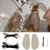 Cat Cockroach Costume Set with Wings and Antennae view 3