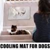 Cooling Mat for Pets view 2