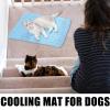 Genrico Cooling Mat for Pets view 2