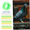 ibasenice 300pcs Parrot and Pigeon Identification Rings view 3