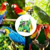 Bird Bed - Hammock Nest for Birds view 4