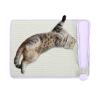 Cooling Mat for Dogs, Cool Dog House with Cushion, Portable Pet Resting Bed for Indoor, Outdoor, Sofa and Kennel view 1