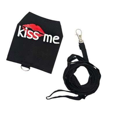 Noctilucous Lizard Harness and Leash Set