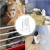 Small Animal Water Bottle with Food Bowl view 4