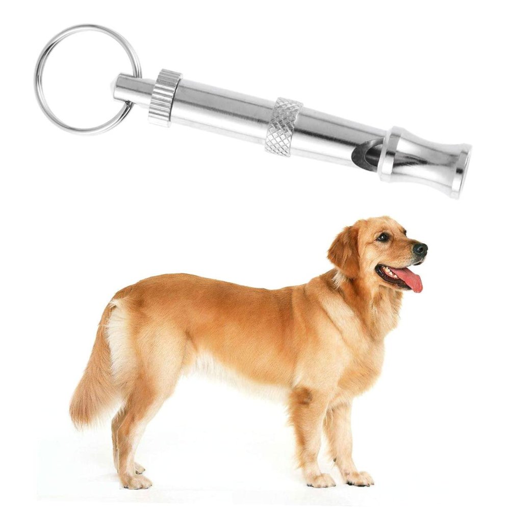 Professional Copper-Plated Dog Training Whistle with Lanyard