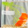 JUMPLAWN 2-Pack Transparent Shrimp Feeders view 4