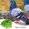 Pigeon Leg Bands, Colorful Markers for Bird Legs, 2025, Numbered Clip Ring Set view 2
