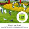 Pigeon Leg Bands, Colorful Markers for Bird Legs, 2025, Numbered Clip Ring Set view 3